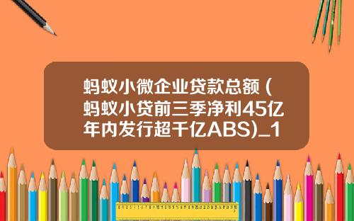 蚂蚁小微企业贷款总额 (蚂蚁小贷前三季净利45亿 年内发行超千亿ABS)_1
