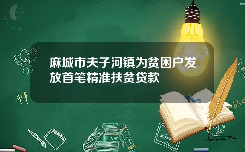 麻城市夫子河镇为贫困户发放首笔精准扶贫贷款
