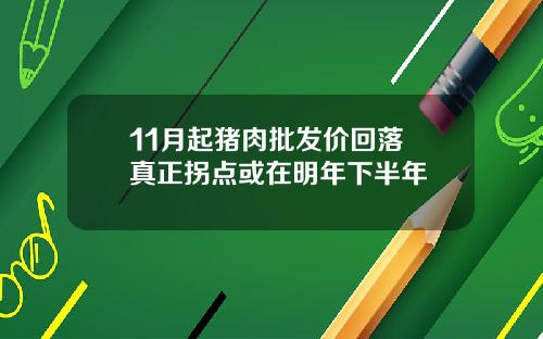 11月起猪肉批发价回落 真正拐点或在明年下半年