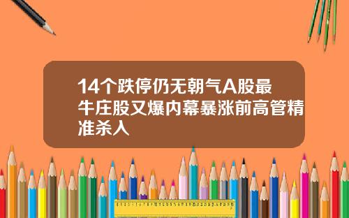 14个跌停仍无朝气A股最牛庄股又爆内幕暴涨前高管精准杀入