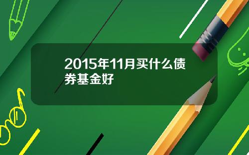 2015年11月买什么债券基金好