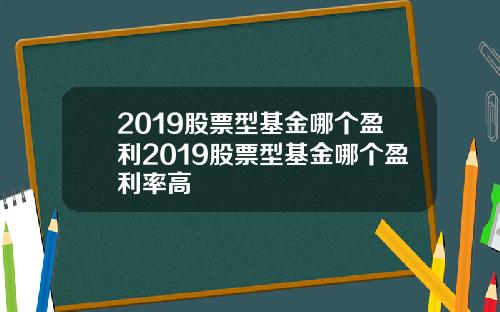 2019股票型基金哪个盈利2019股票型基金哪个盈利率高