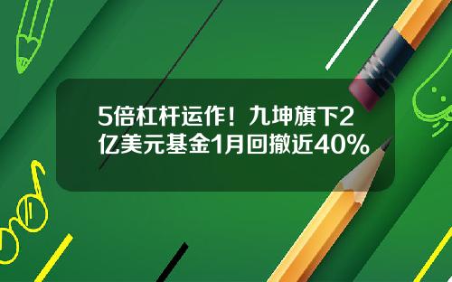 5倍杠杆运作！九坤旗下2亿美元基金1月回撤近40%