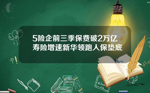 5险企前三季保费破2万亿寿险增速新华领跑人保垫底
