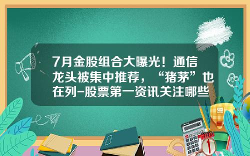 7月金股组合大曝光！通信龙头被集中推荐，“猪茅”也在列-股票第一资讯关注哪些账号