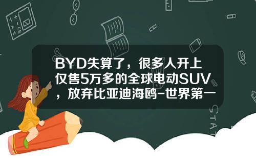 BYD失算了，很多人开上仅售5万多的全球电动SUV，放弃比亚迪海鸥-世界第一辆黄金车多少钱【新闻】
