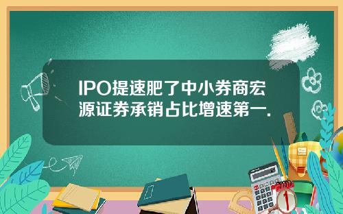IPO提速肥了中小券商宏源证券承销占比增速第一.
