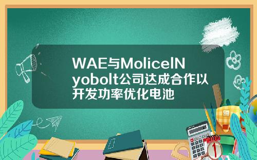 WAE与MolicelNyobolt公司达成合作以开发功率优化电池