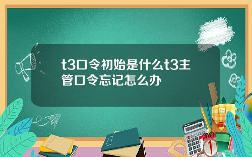 t3口令初始是什么t3主管口令忘记怎么办