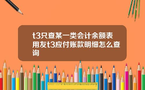 t3只查某一类会计余额表用友t3应付账款明细怎么查询