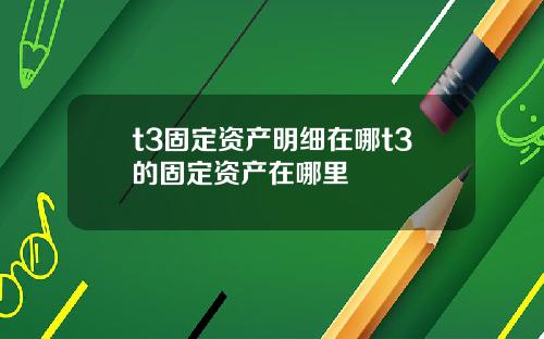 t3固定资产明细在哪t3的固定资产在哪里