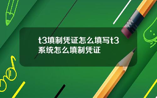 t3填制凭证怎么填写t3系统怎么填制凭证