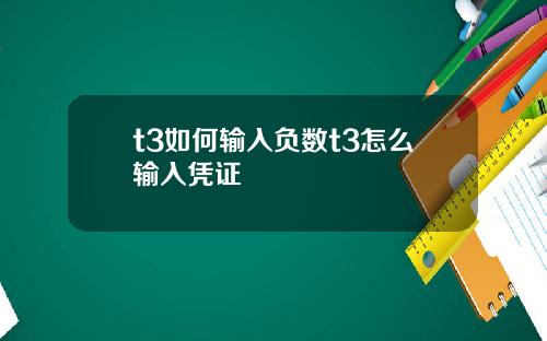 t3如何输入负数t3怎么输入凭证