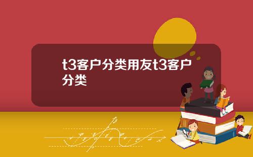 t3客户分类用友t3客户分类