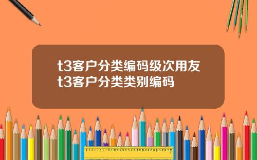 t3客户分类编码级次用友t3客户分类类别编码