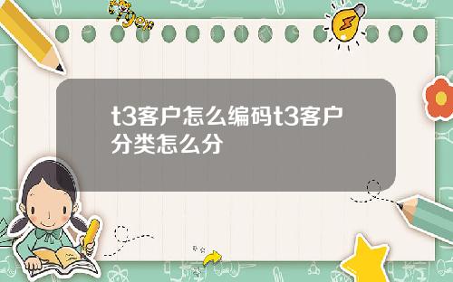 t3客户怎么编码t3客户分类怎么分
