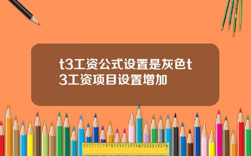 t3工资公式设置是灰色t3工资项目设置增加