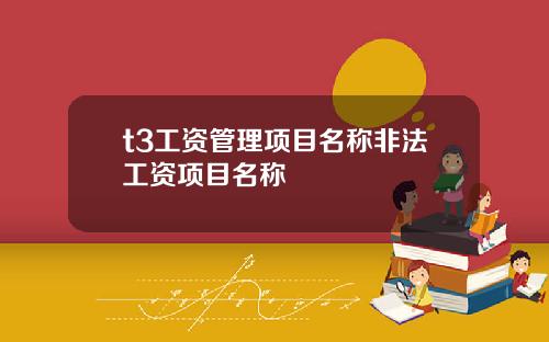 t3工资管理项目名称非法工资项目名称