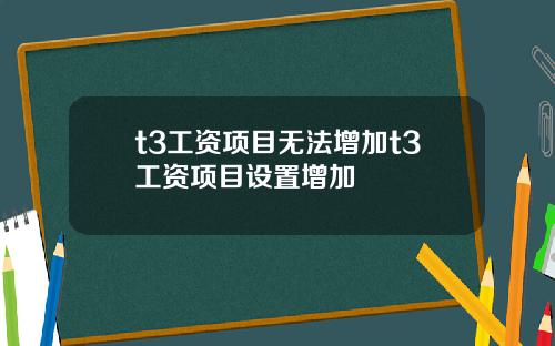 t3工资项目无法增加t3工资项目设置增加