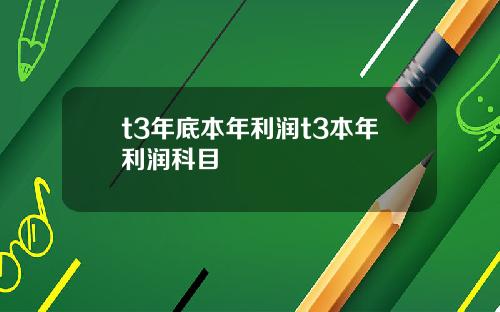 t3年底本年利润t3本年利润科目
