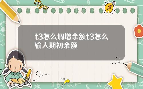 t3怎么调增余额t3怎么输入期初余额