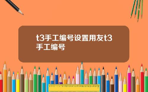 t3手工编号设置用友t3手工编号