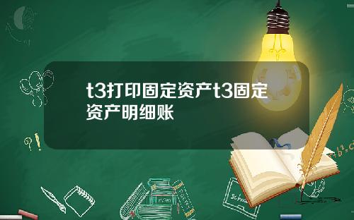 t3打印固定资产t3固定资产明细账
