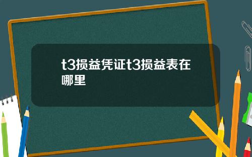 t3损益凭证t3损益表在哪里