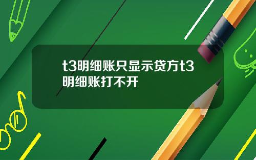 t3明细账只显示贷方t3明细账打不开