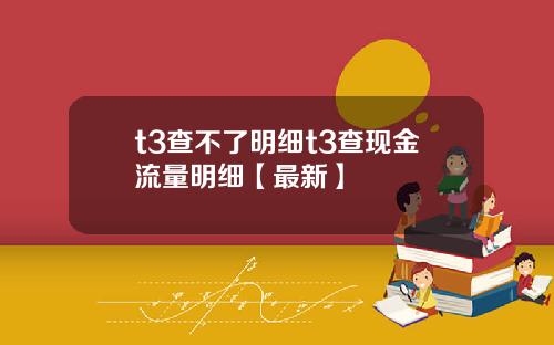 t3查不了明细t3查现金流量明细【最新】