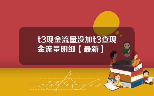 t3现金流量没加t3查现金流量明细【最新】