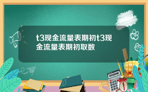 t3现金流量表期初t3现金流量表期初取数