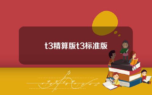 t3精算版t3标准版