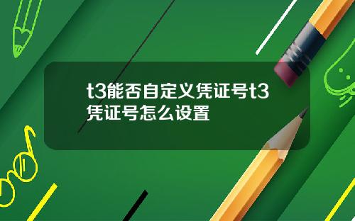 t3能否自定义凭证号t3凭证号怎么设置