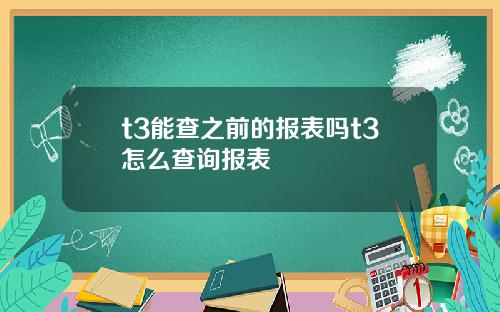 t3能查之前的报表吗t3怎么查询报表