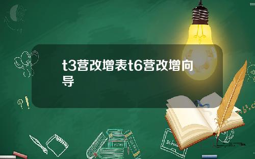 t3营改增表t6营改增向导