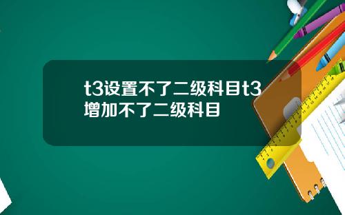 t3设置不了二级科目t3增加不了二级科目