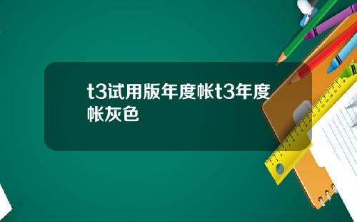 t3试用版年度帐t3年度帐灰色