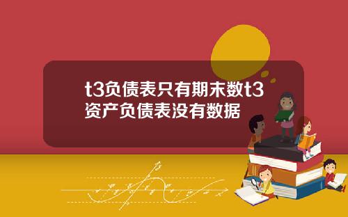 t3负债表只有期末数t3资产负债表没有数据