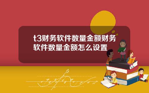 t3财务软件数量金额财务软件数量金额怎么设置