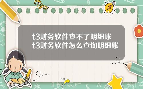 t3财务软件查不了明细账t3财务软件怎么查询明细账