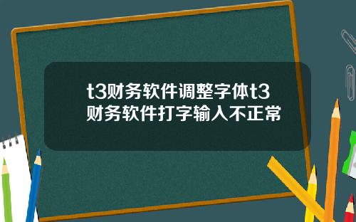 t3财务软件调整字体t3财务软件打字输入不正常