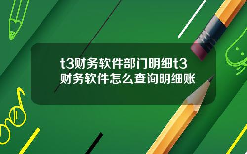t3财务软件部门明细t3财务软件怎么查询明细账