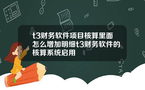 t3财务软件项目核算里面怎么增加明细t3财务软件的核算系统启用