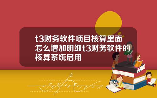 t3财务软件项目核算里面怎么增加明细t3财务软件的核算系统启用