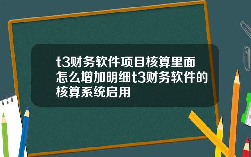 t3财务软件项目核算里面怎么增加明细t3财务软件的核算系统启用