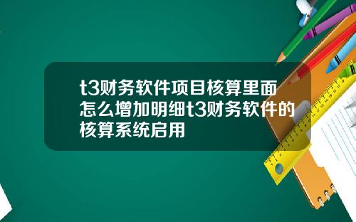 t3财务软件项目核算里面怎么增加明细t3财务软件的核算系统启用