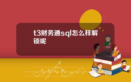 t3财务通sql怎么样解锁呢