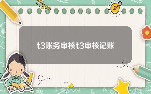t3账务审核t3审核记账