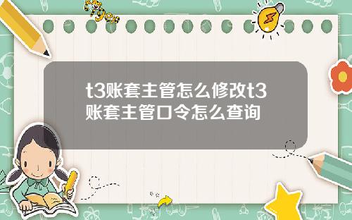 t3账套主管怎么修改t3账套主管口令怎么查询